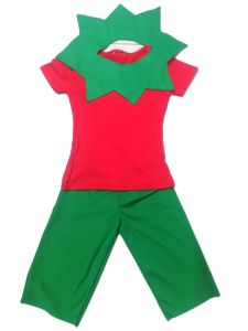 Kids Costumes to Hire - ELf - Tshirt 4-5 Years